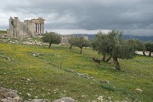 vignette Tunisie_0397.jpg 