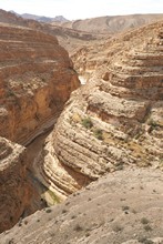 vignette Tunisie_0579.jpg 