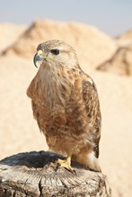 vignette Tunisie_0688.jpg 