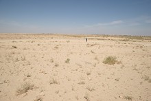 vignette Tunisie_0698.jpg 