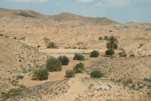 vignette Tunisie_0735.jpg 