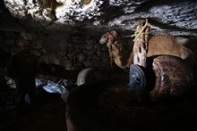 vignette Tunisie_0794.jpg 