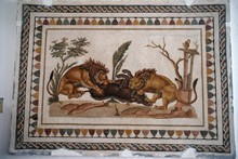 vignette Tunisie_0905.jpg 