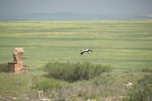 vignette Tunisie_1014.jpg 