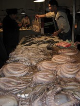 vignette Tunisie_1143.jpg 