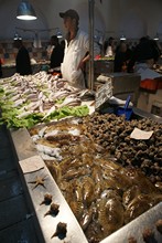 vignette Tunisie_1158.jpg 