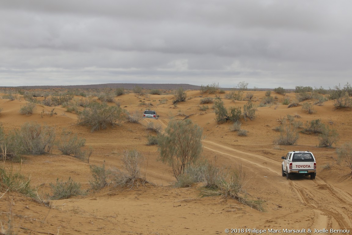 /ecran/Turkmenistan_2018_0422.jpg