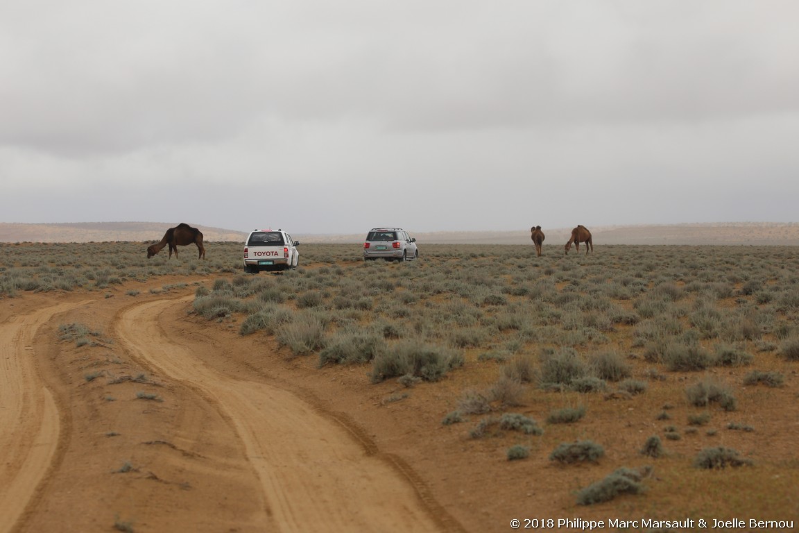 /ecran/Turkmenistan_2018_0424.jpg