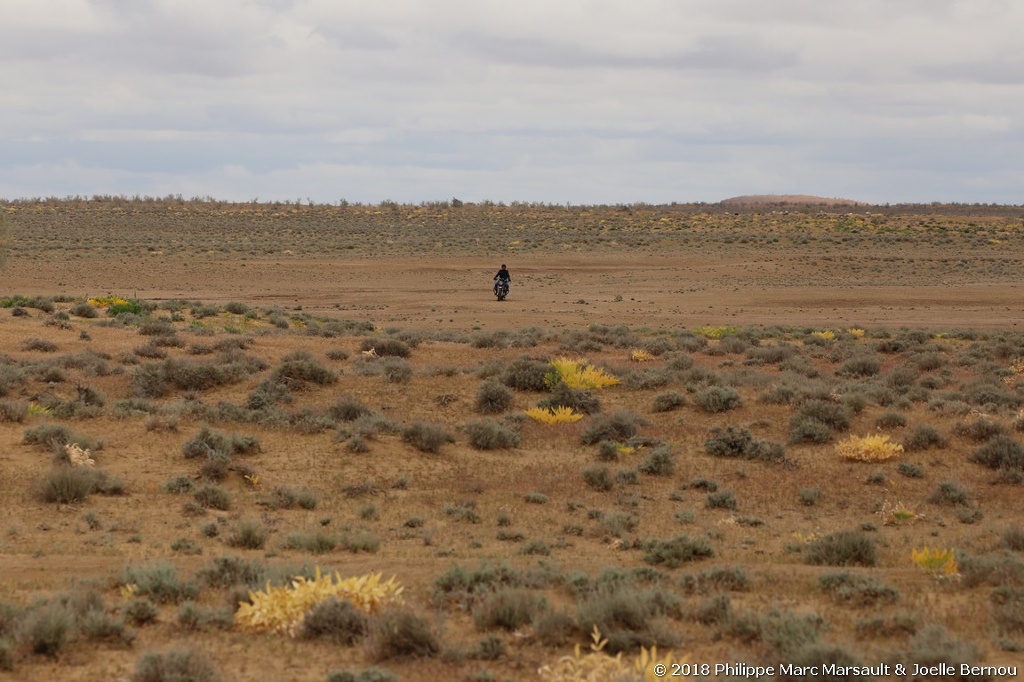 /ecran/Turkmenistan_2018_0463.jpg