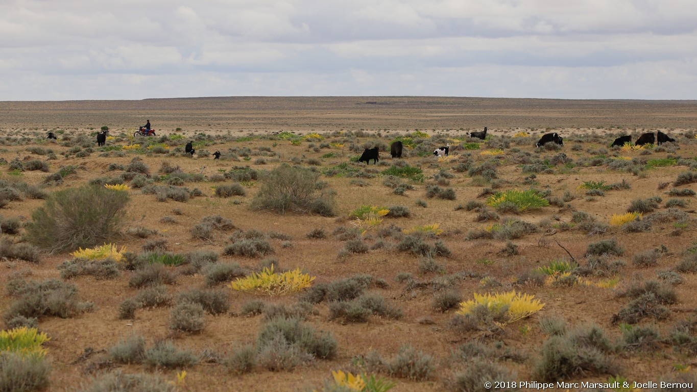 /ecran/Turkmenistan_2018_0465.jpg