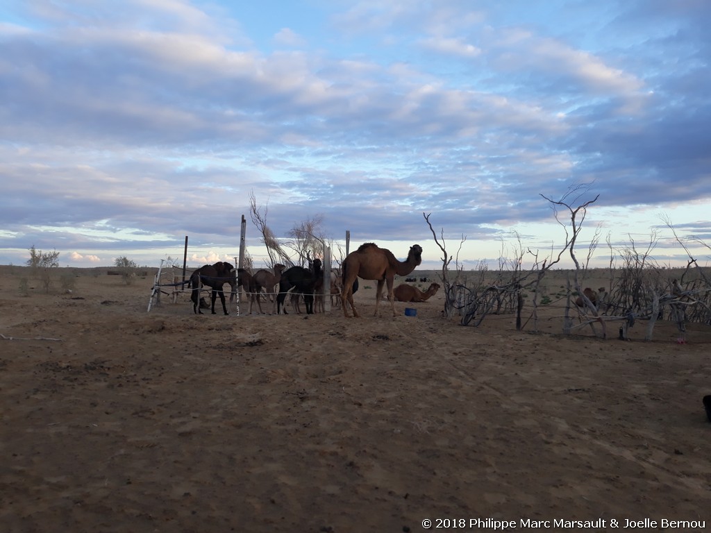 /ecran/Turkmenistan_2018_0534.jpg