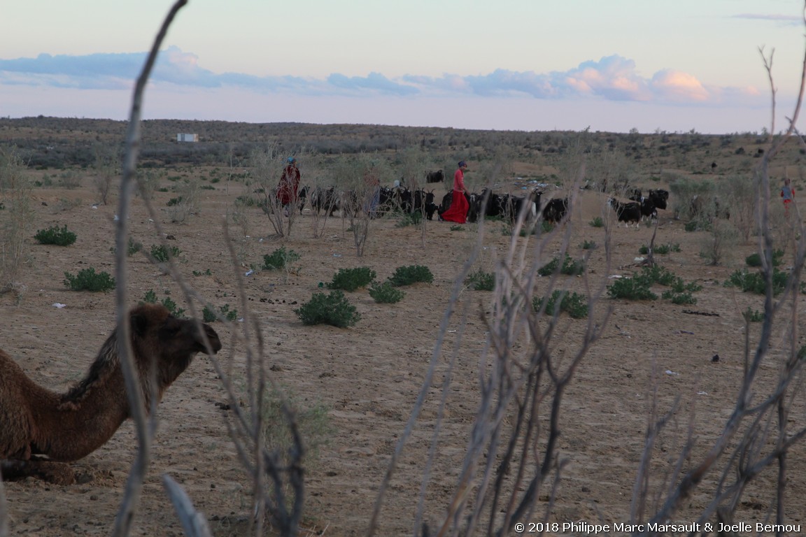 /ecran/Turkmenistan_2018_0538.jpg