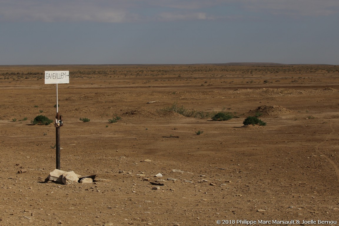 /ecran/Turkmenistan_2018_0564.jpg