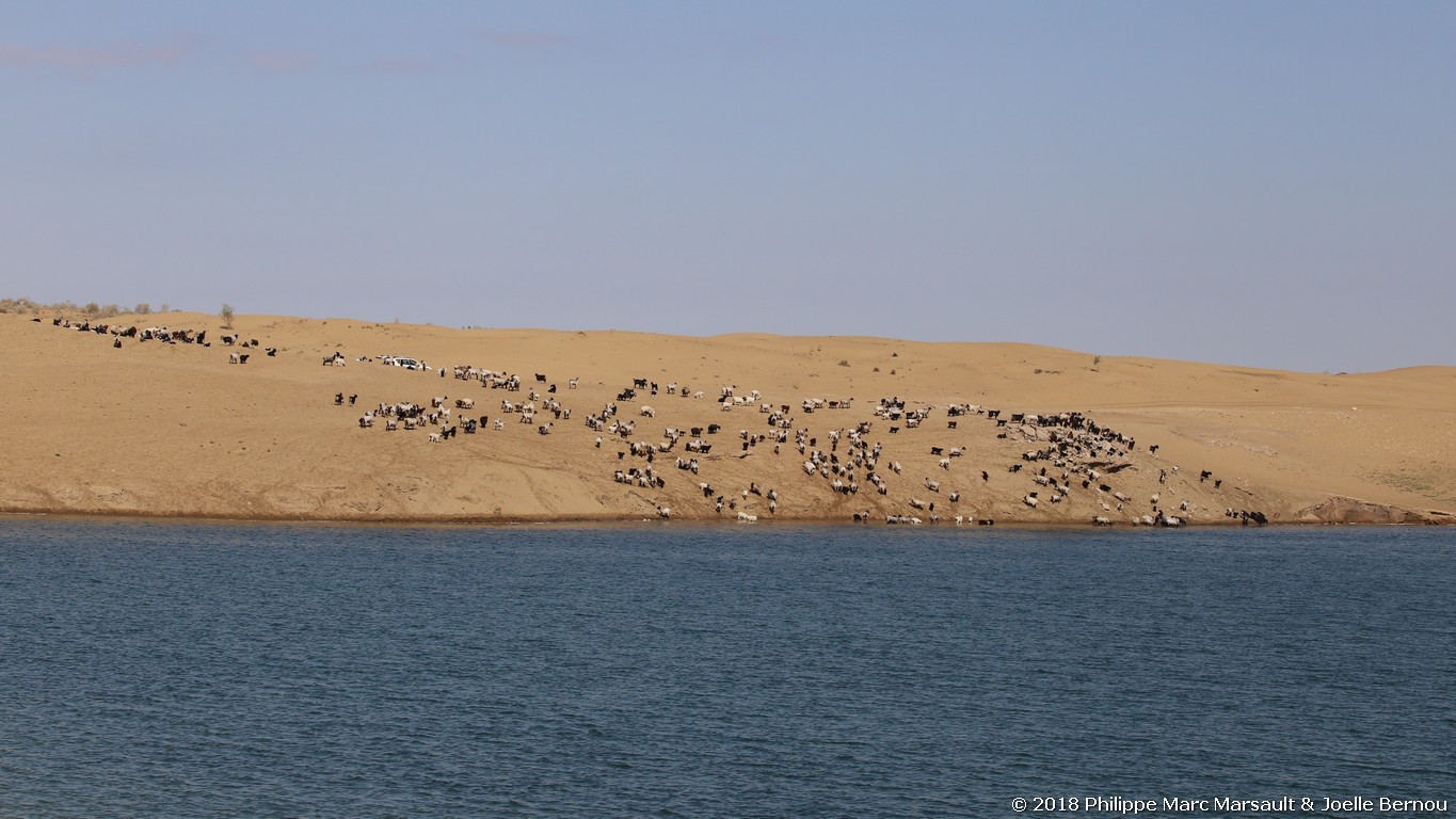 /ecran/Turkmenistan_2018_0582.jpg