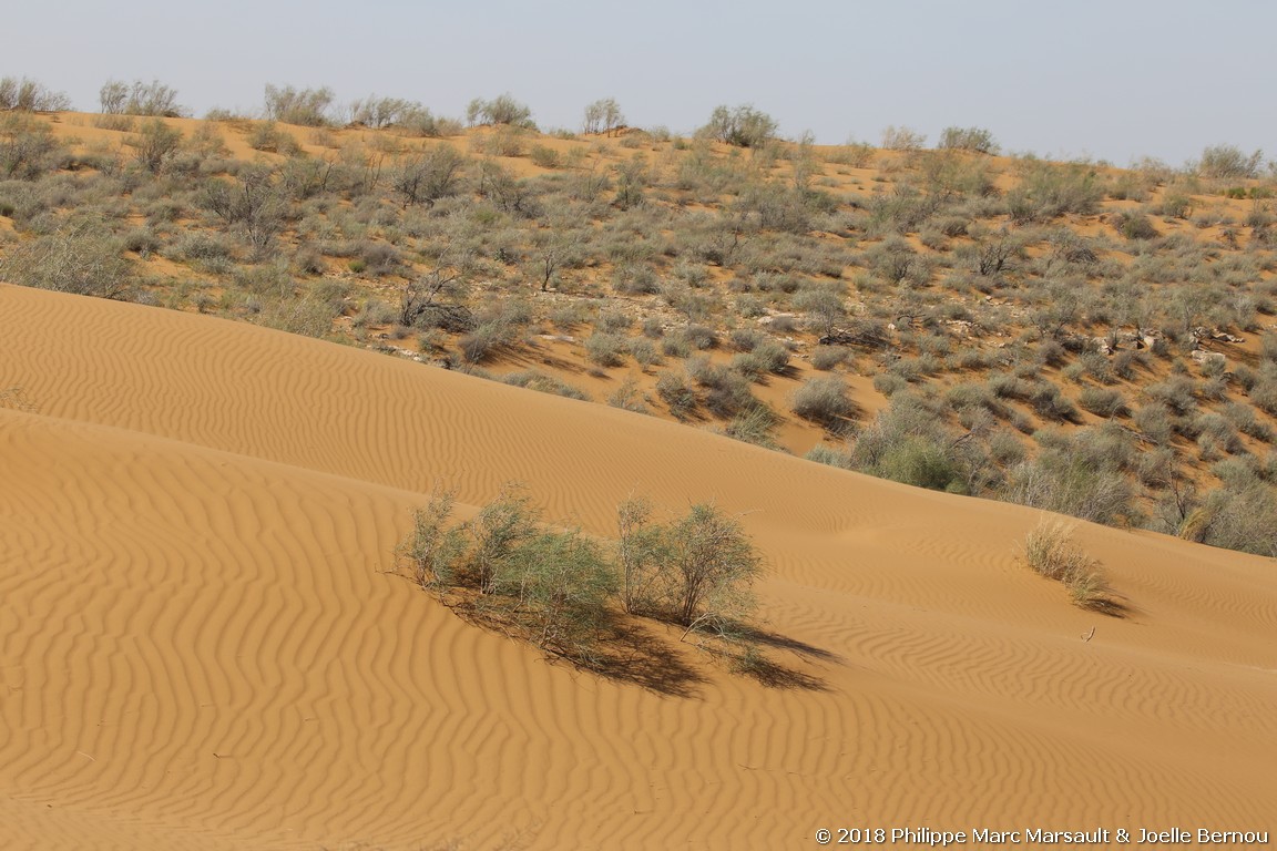 /ecran/Turkmenistan_2018_0792.jpg