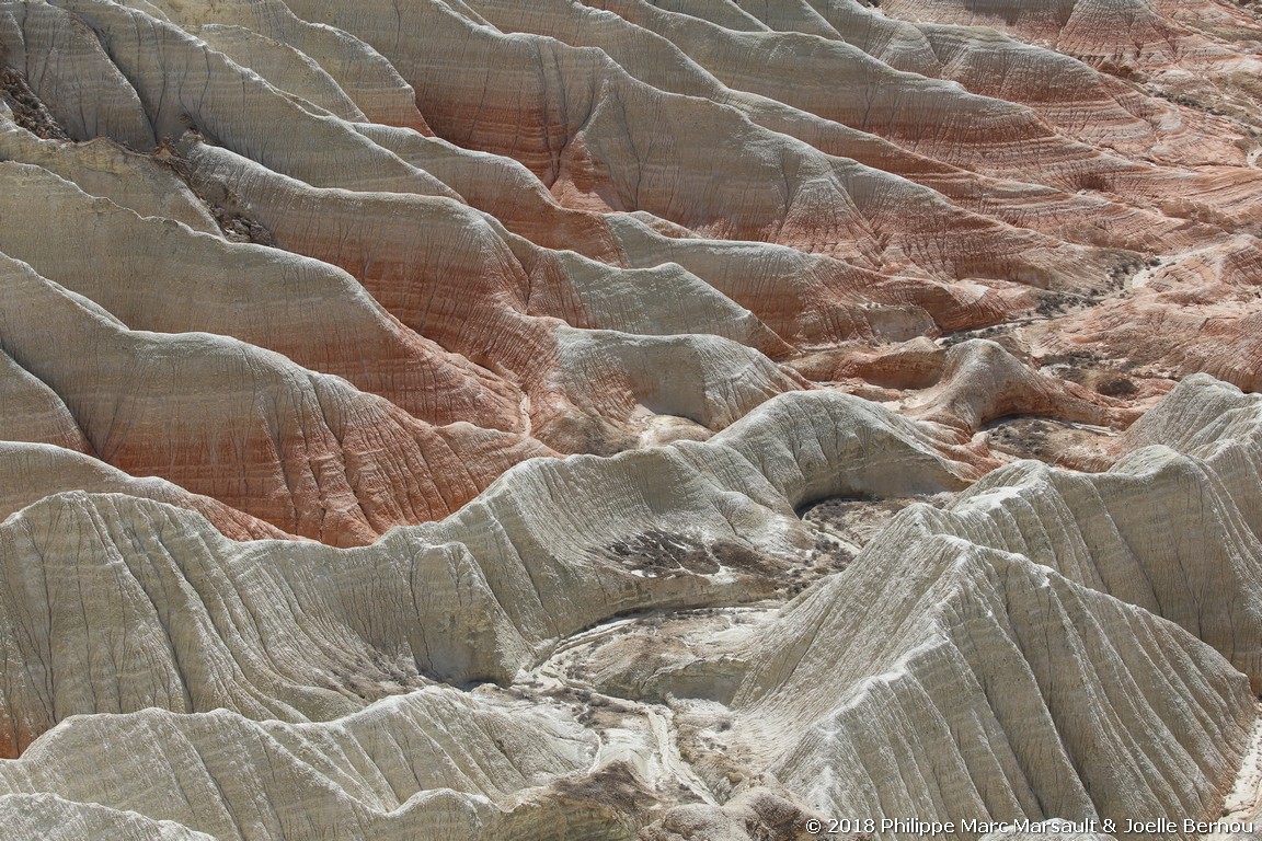 /ecran/Turkmenistan_2018_1009.jpg