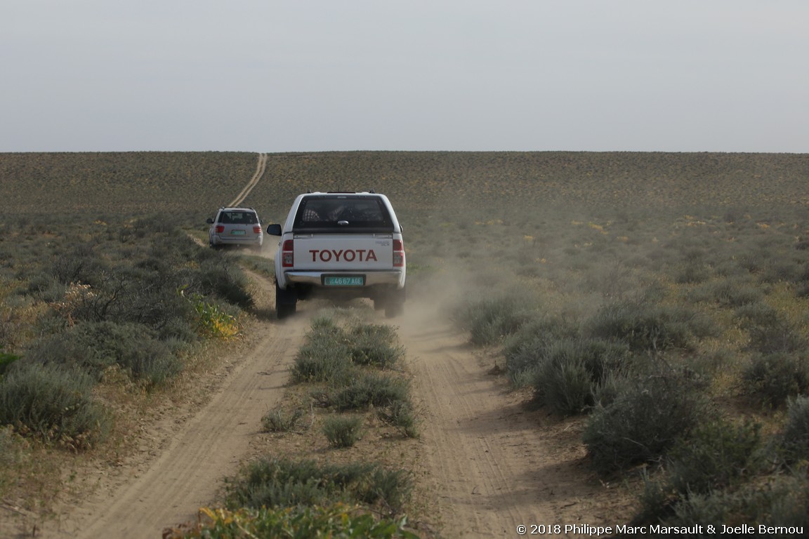 /ecran/Turkmenistan_2018_1059.jpg