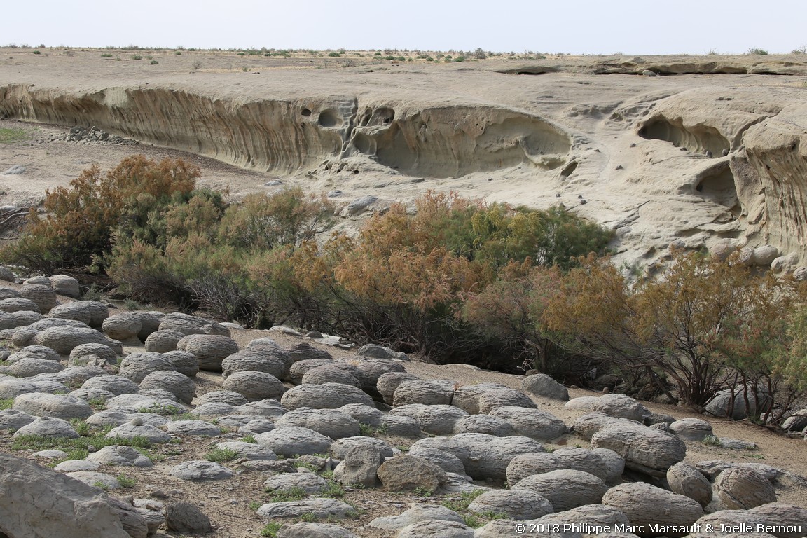 /ecran/Turkmenistan_2018_1137.jpg