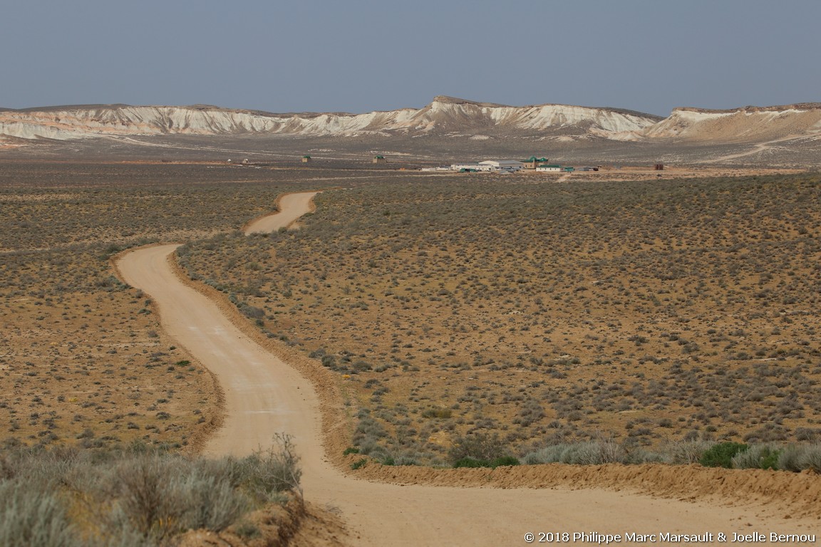 /ecran/Turkmenistan_2018_1161.jpg