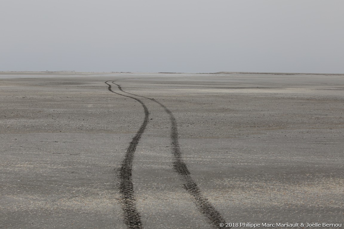 /ecran/Turkmenistan_2018_1212.jpg