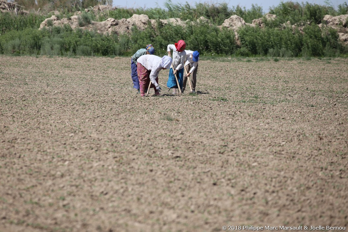 /ecran/Turkmenistan_2018_1289.jpg