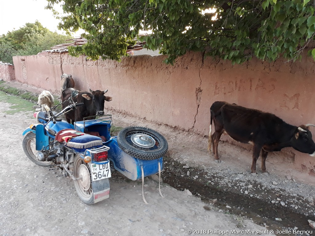 /ecran/Turkmenistan_2018_1347.jpg