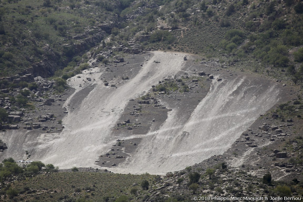 /ecran/Turkmenistan_2018_1391.jpg