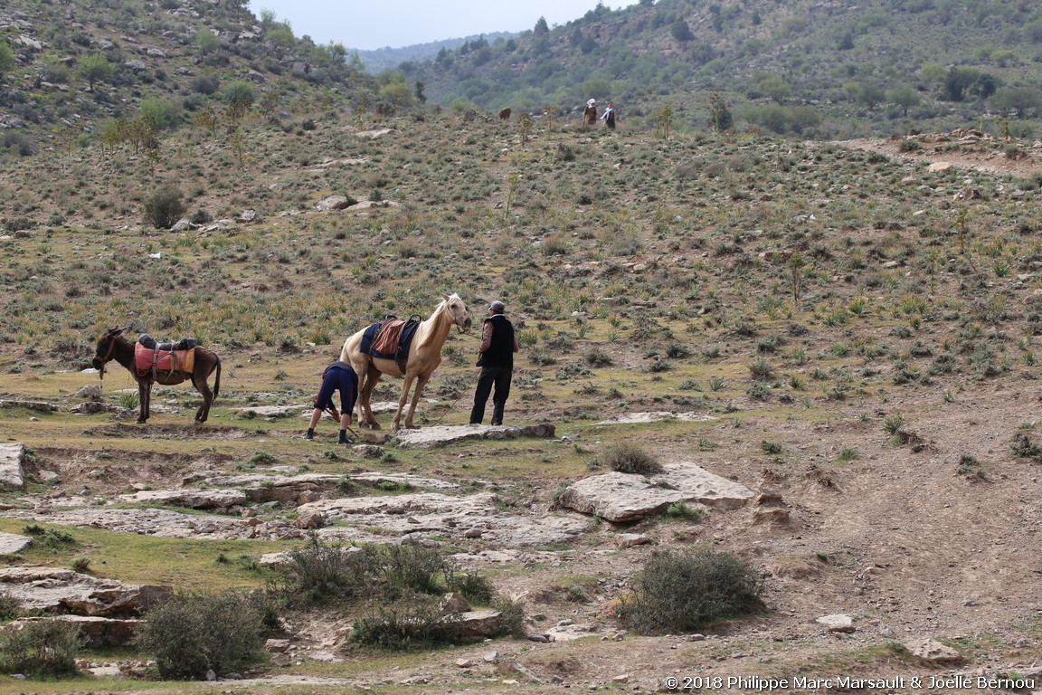 /ecran/Turkmenistan_2018_1393.jpg