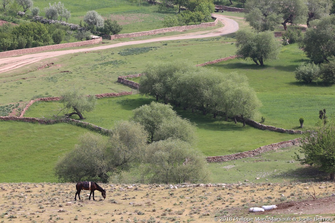 /ecran/Turkmenistan_2018_1396.jpg