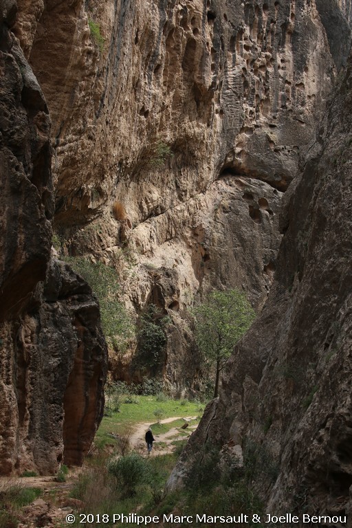 /ecran/Turkmenistan_2018_1543.jpg