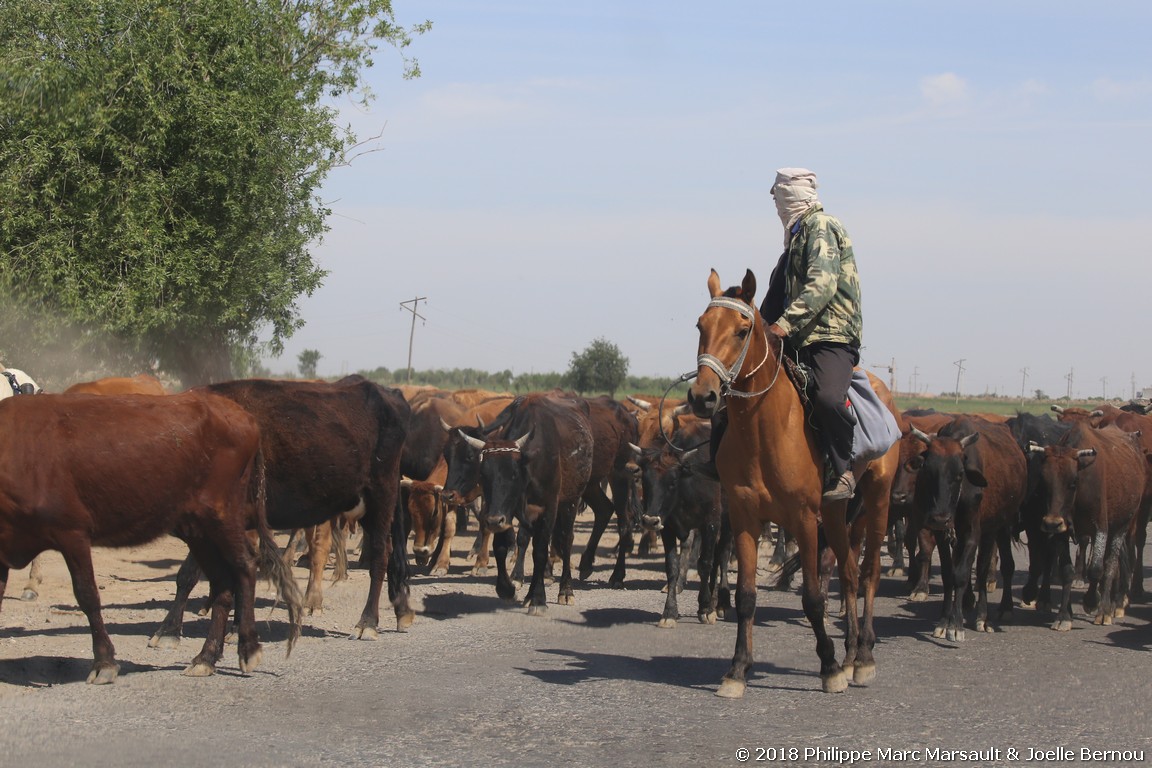 /ecran/Turkmenistan_2018_1972.jpg
