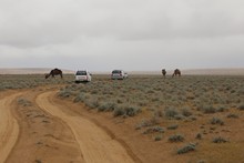 vignette Turkmenistan_2018_0424.jpg 