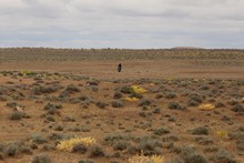 vignette Turkmenistan_2018_0463.jpg 