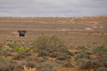vignette Turkmenistan_2018_0481.jpg 