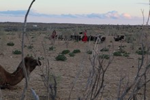 vignette Turkmenistan_2018_0538.jpg 