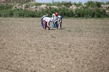 vignette Turkmenistan_2018_1289.jpg 