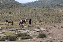 vignette Turkmenistan_2018_1393.jpg 