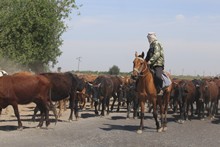 vignette Turkmenistan_2018_1972.jpg 