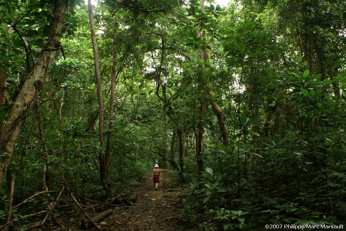 /ecran/Vanuatu_138.jpg