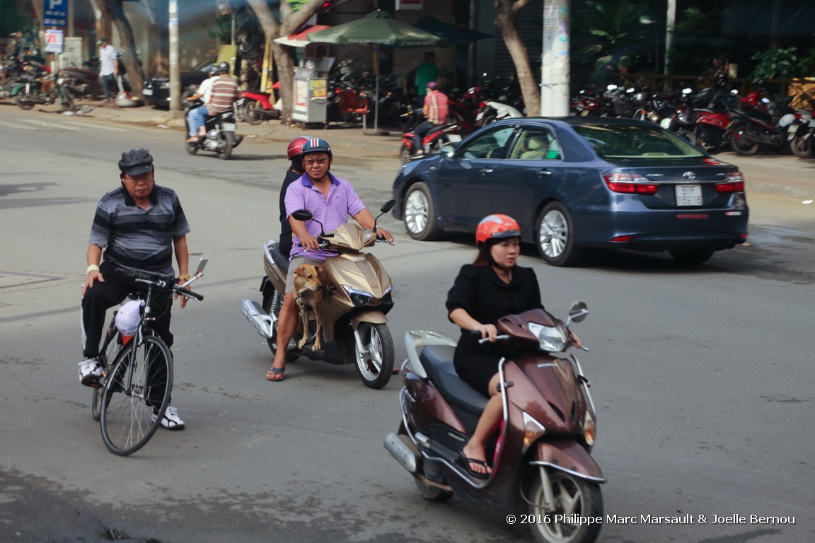 /ecran/Vietnam_2016_0068.jpg