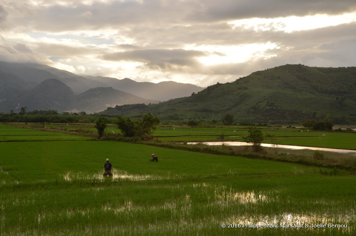 /ecran/Vietnam_2016_0779.jpg