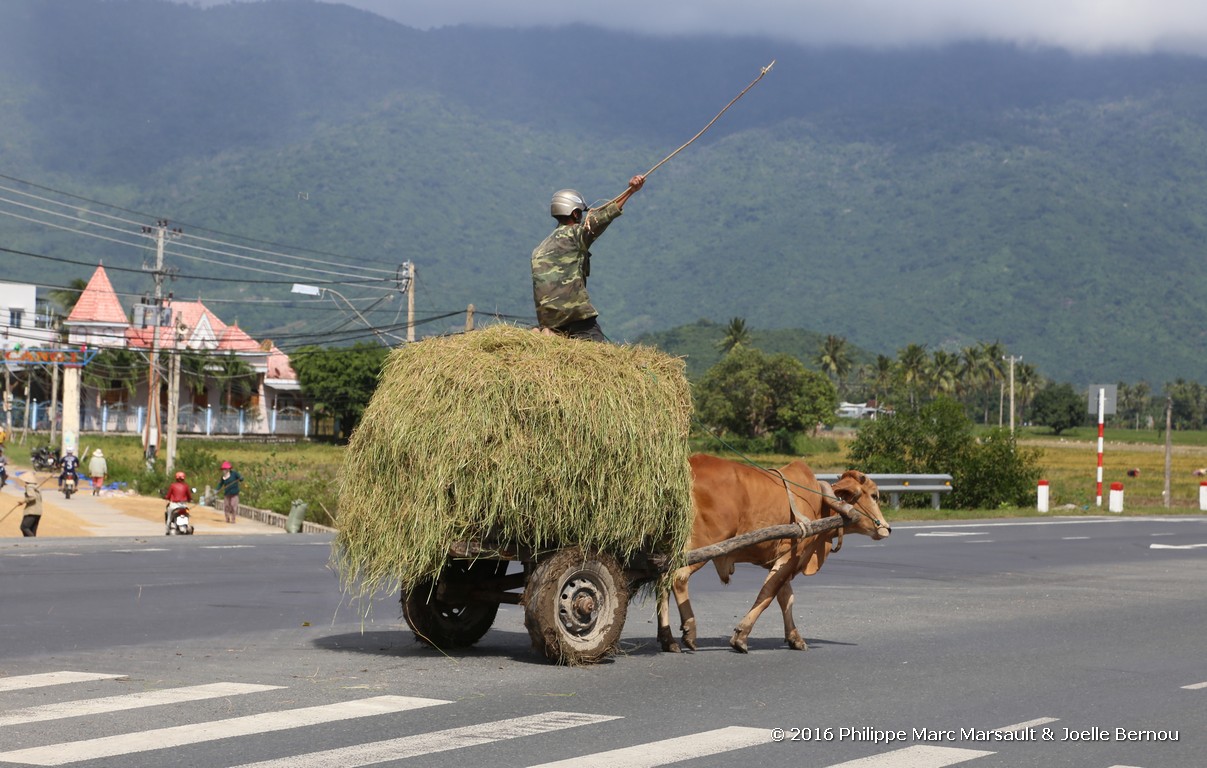 /ecran/Vietnam_2016_0850.jpg