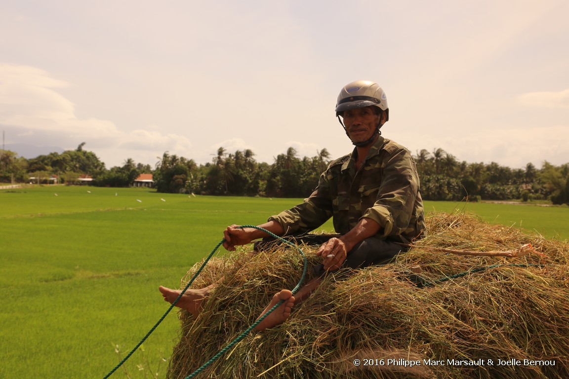 /ecran/Vietnam_2016_0855.jpg