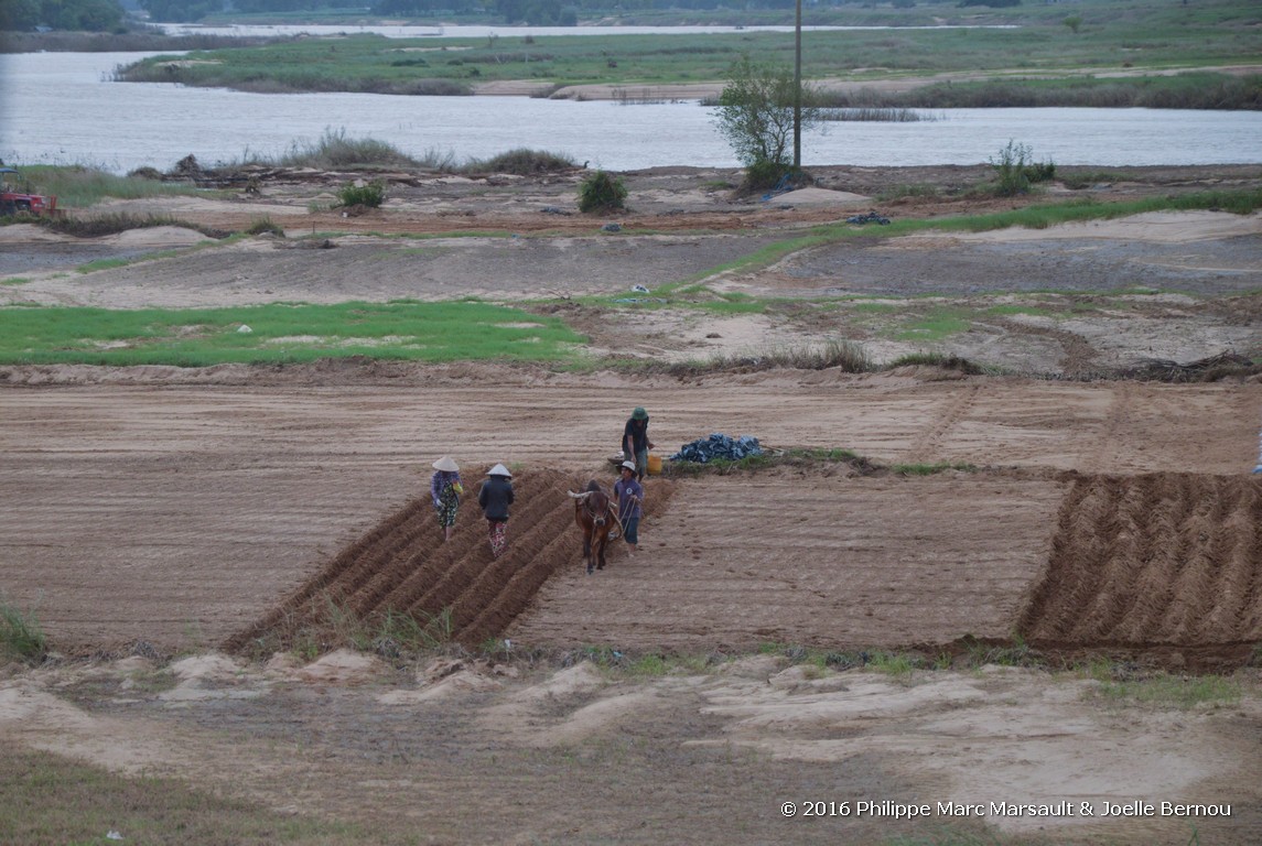 /ecran/Vietnam_2016_0885.jpg