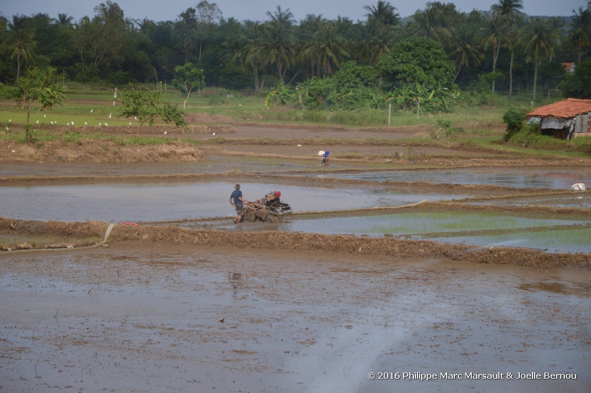 /ecran/Vietnam_2016_0895.jpg