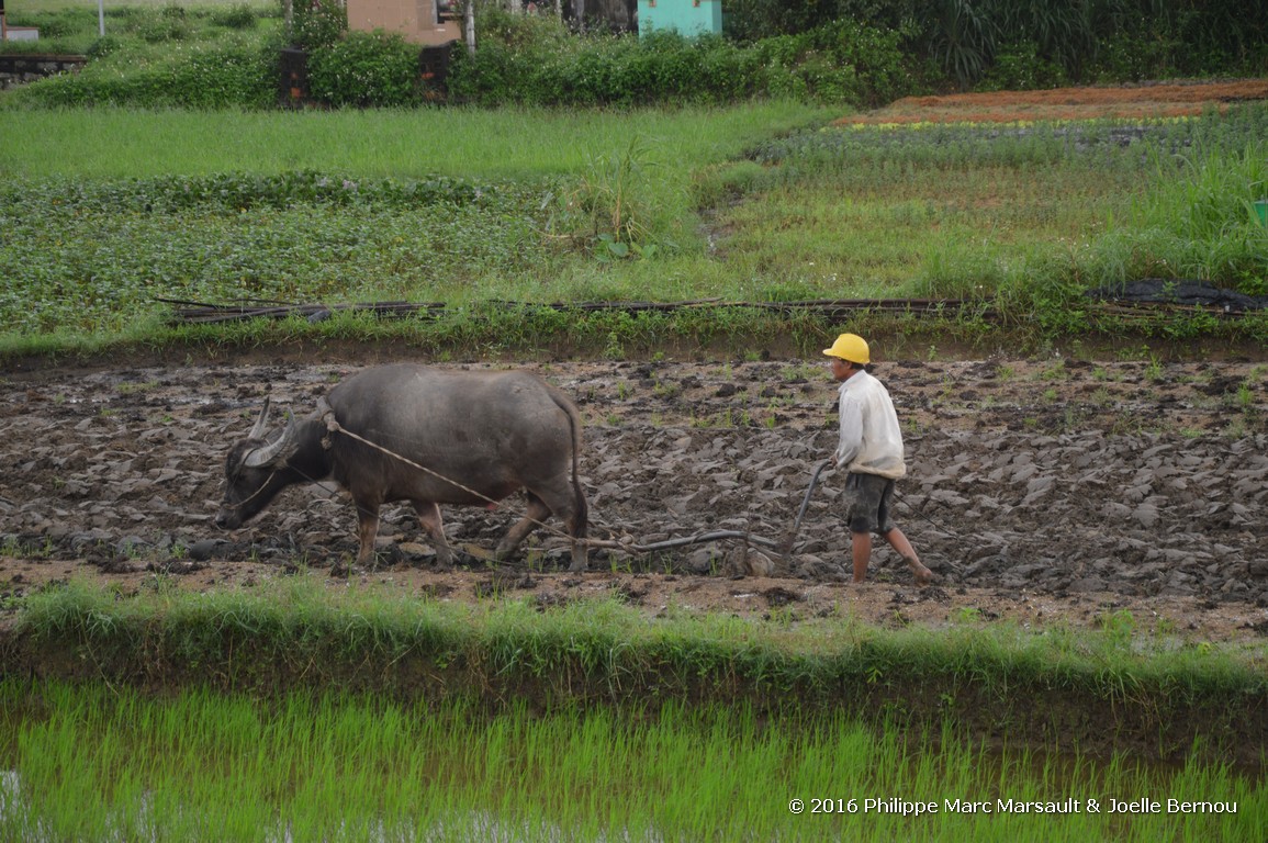 /ecran/Vietnam_2016_0929.jpg