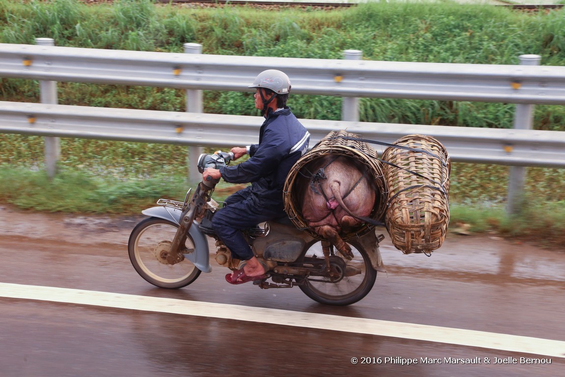 /ecran/Vietnam_2016_0942.jpg