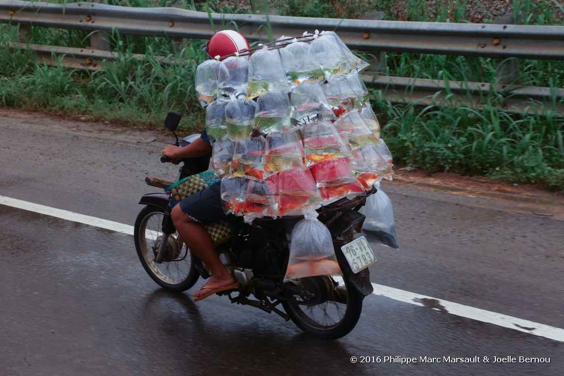 /ecran/Vietnam_2016_0947.jpg