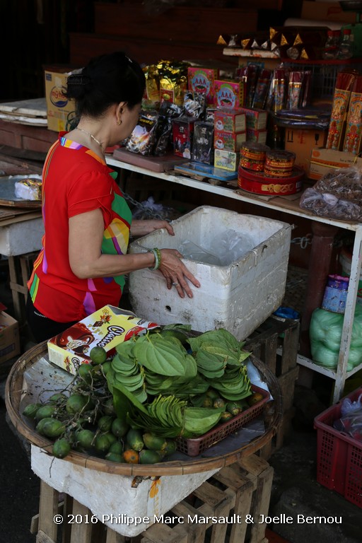 /ecran/Vietnam_2016_1149.jpg