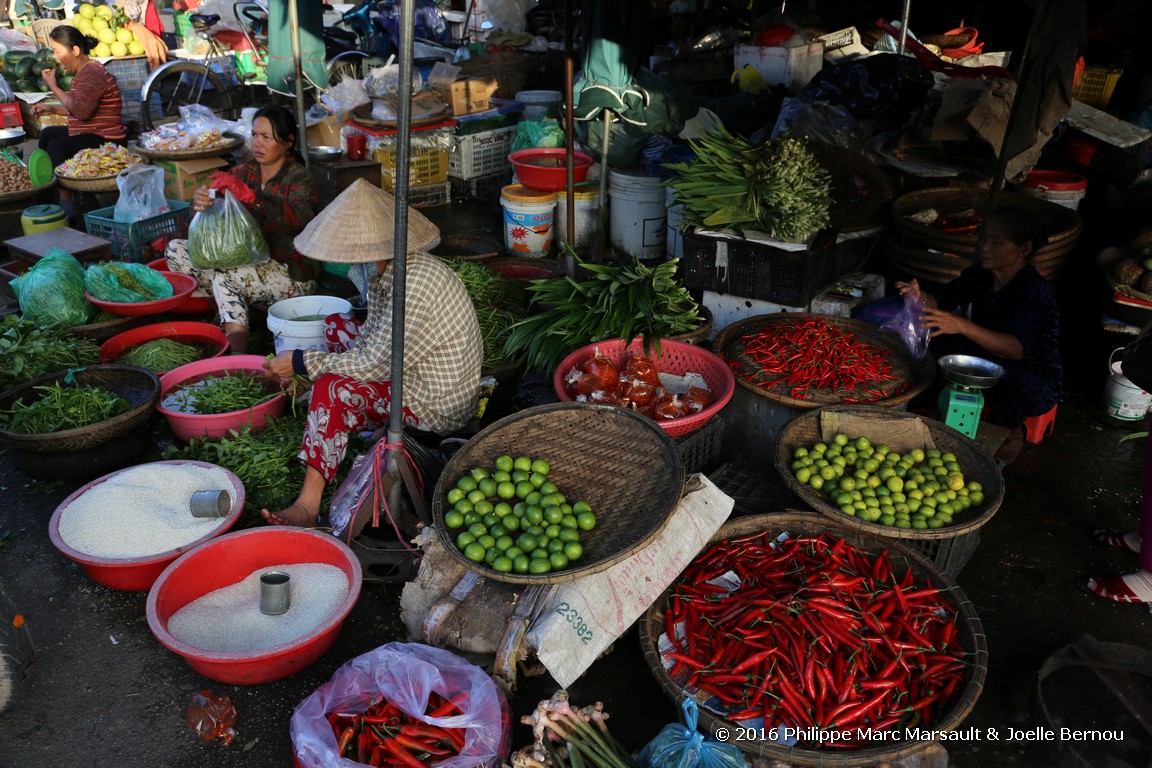 /ecran/Vietnam_2016_1692.jpg